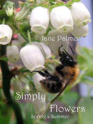 cover image of Simply Flowers, Spring and Summer